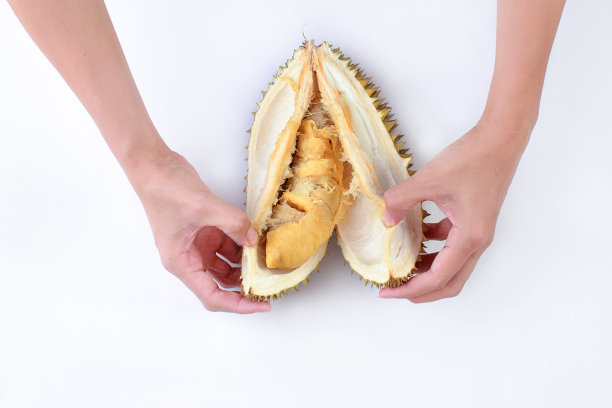 在白色背景下剥榴莲果实图片下载