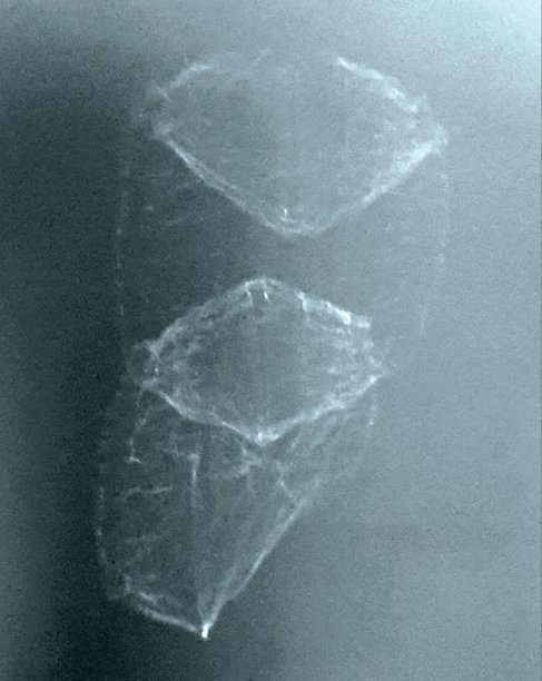 古老的外星人图片下载