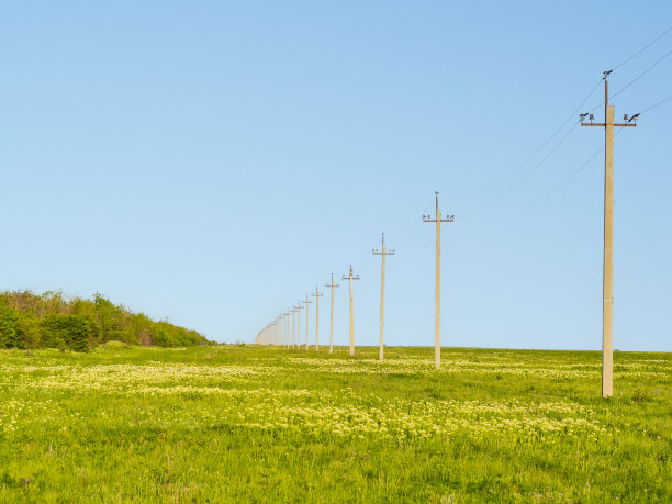 田里的电线图片下载