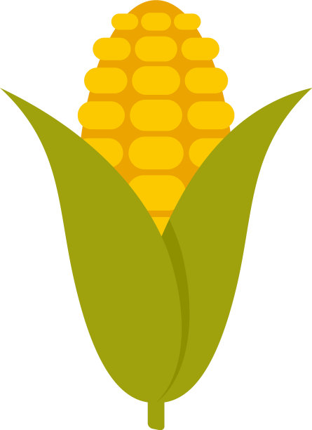 生态玉米图标平孤立图片下载