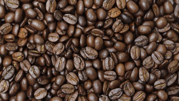 咖啡豆的俯视图图片下载