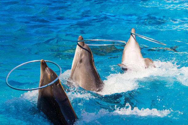 创造性的象征性的抽象图片下载