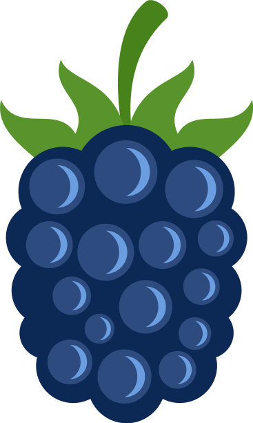 花园黑莓图标平孤立图片下载