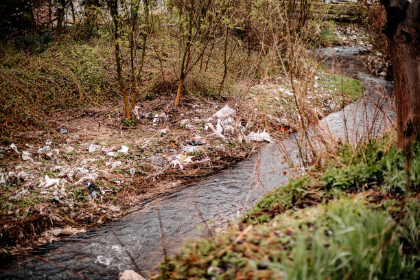 垃圾到处都是图片下载
