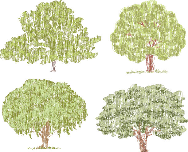 涂鸦中绘有各种落叶树图片下载