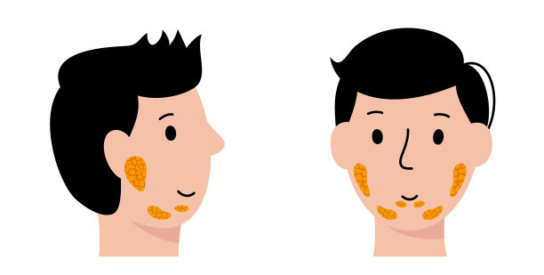 唾腺的概念图片下载