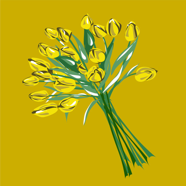 花束郁金香花自然明信片图片下载