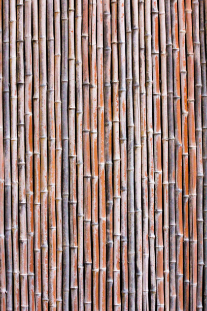 竹背景垂直图片下载