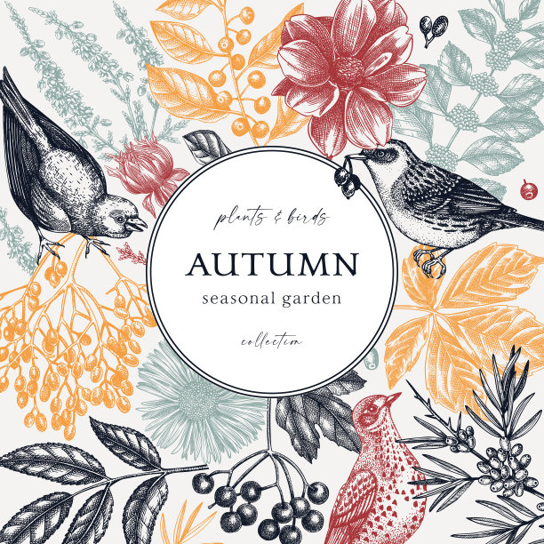 手写生秋天的框架设计颜色新潮图片下载