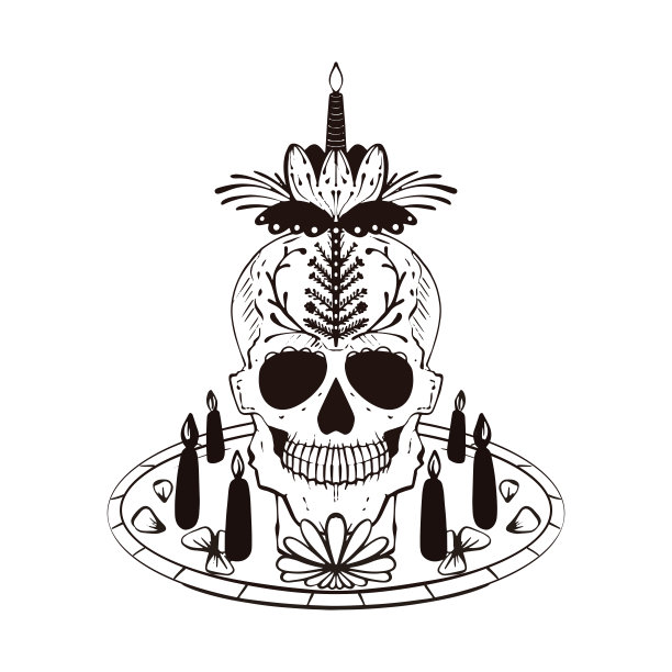 人类头骨图片下载