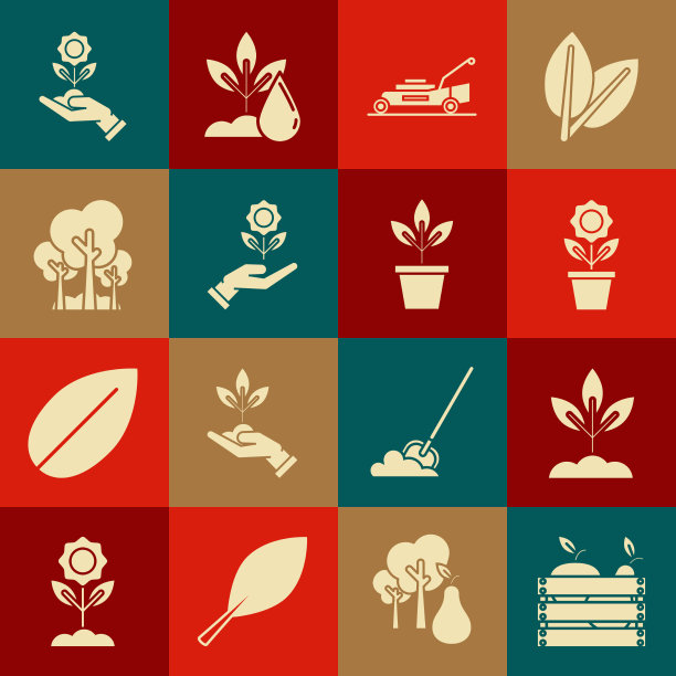 为水果和蔬菜植物设置木箱图片下载