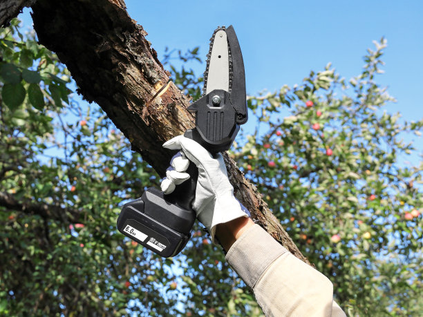 手拿轻型链锯和电池修剪折断的苹果树树枝图片下载