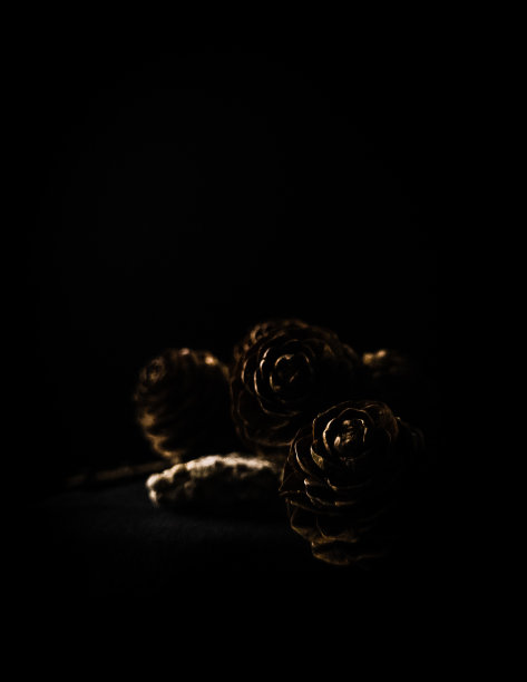 害羞的光线击中了一些小锥图片下载