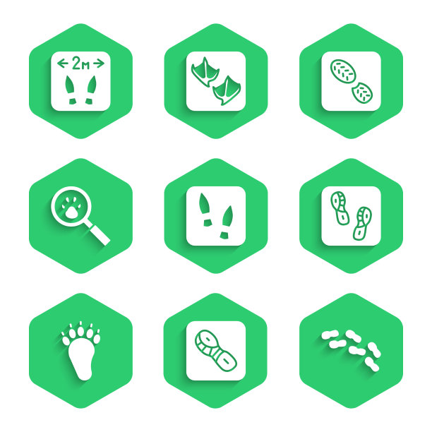 设人脚印鞋熊爪子搜索图片下载