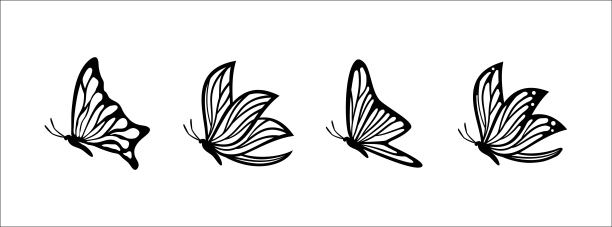 蝴蝶剪影。蝴蝶剪影矢量集插图。图片下载