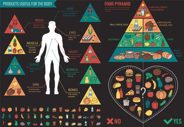 健康食品信息。食物金字塔。健康饮食的概念。向量图片下载