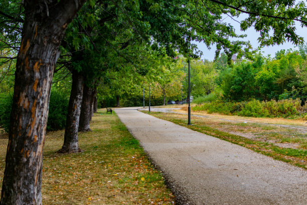 夜晚的公园，白天的人行道，公园长椅，街灯和灯的照片，近距离拍摄。图片下载