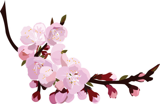 桃花在春天绽放图片下载