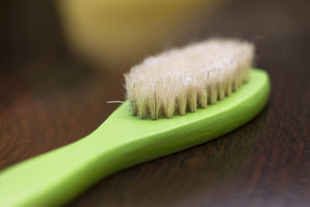 宠物刷图片下载