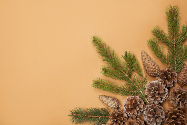 圣诞节日风格的股票构图图片下载