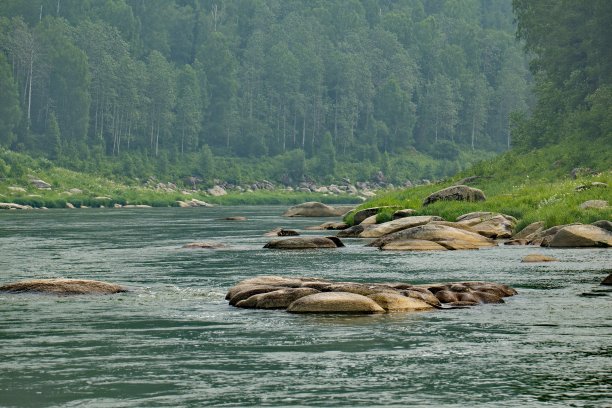 Gornaya Shoria的山区河流图片下载