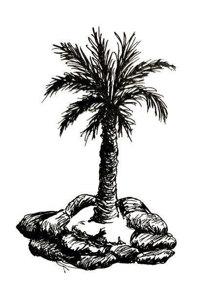 手绘的棕榈树墨水插图图片下载
