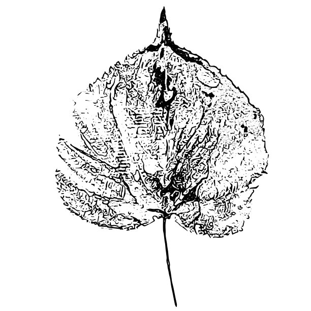 叶痕。手工水粉画在纸上。油漆的印象,邮票。为您设计的秋天图片。图片下载