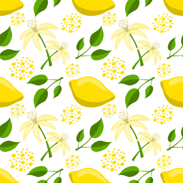 柠檬柑橘无缝图案。植物矢量图图片下载