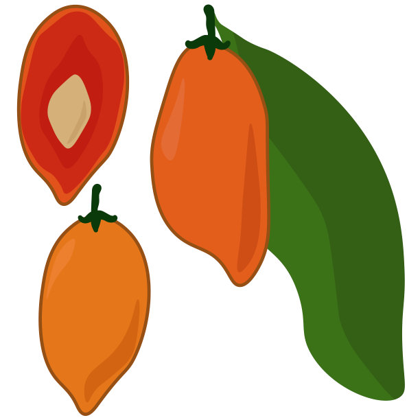 本霍齐亚银果，多汁的异国水果整个和一半矢量插图图片下载