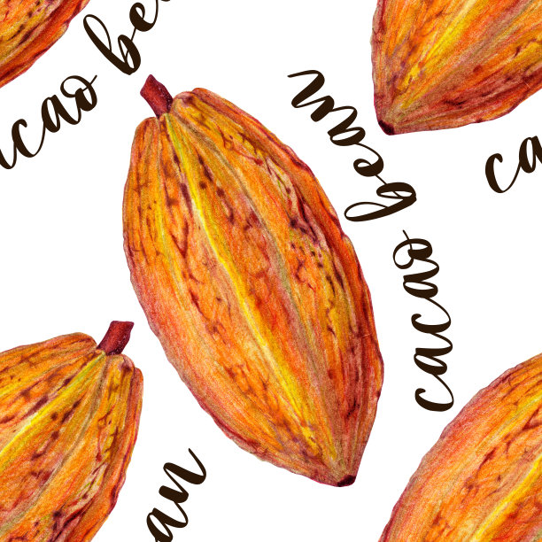 可可。巧克力。可可。专业彩色铅笔画。食物的例子。手了。刻字。无休止的重复模式。多种用途的创意平面设计。时尚鲜艳的颜色。图片下载