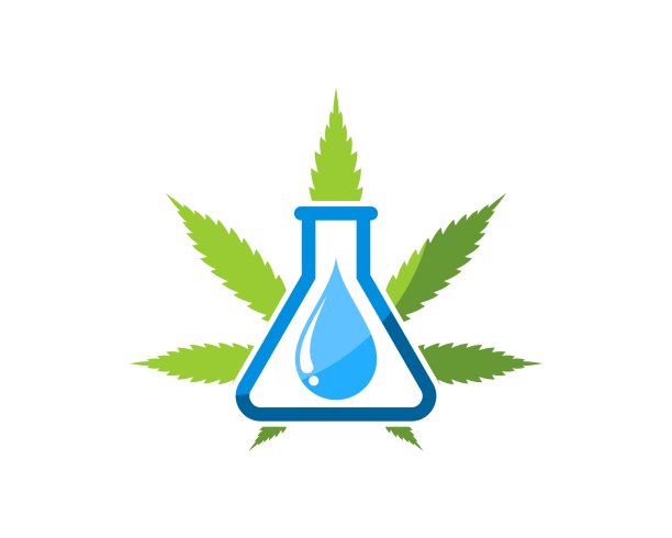 绿色的大麻叶子与瓶子实验室和水滴里面图片下载