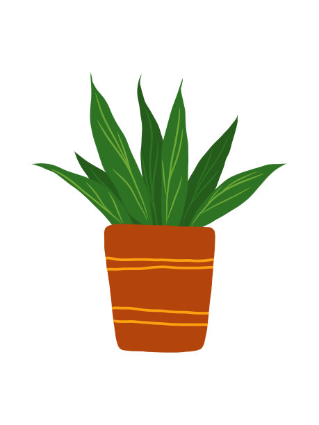 可爱的手绘仙人掌图片下载