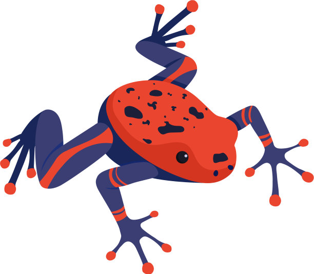 青蛙等距图片下载