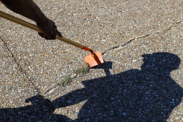 一个非裔美国人正在清理一条破裂的车道上的杂草图片下载