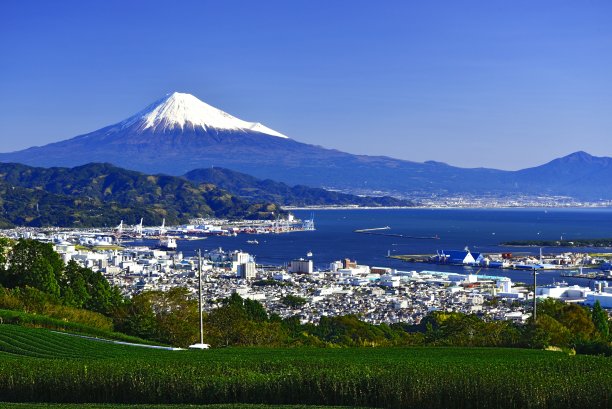 我的。富士山和静冈市的茶园图片下载
