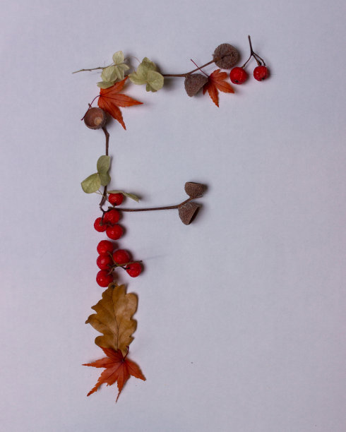 白色背景上的秋天树叶上的拉丁字母图片下载