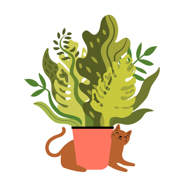 带着可爱的棕色猫和粉红色的大花盆图片下载