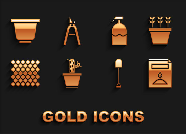 把仙人掌和多汁植物放在花盆里图片下载