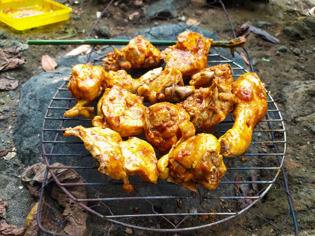 用传统香料调味的烤鸡图片下载