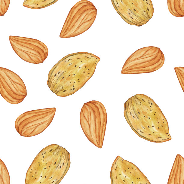 无缝模式去皮杏仁白色背景。水彩手绘插图。非常适合纺织，织物，数码纸。图片下载