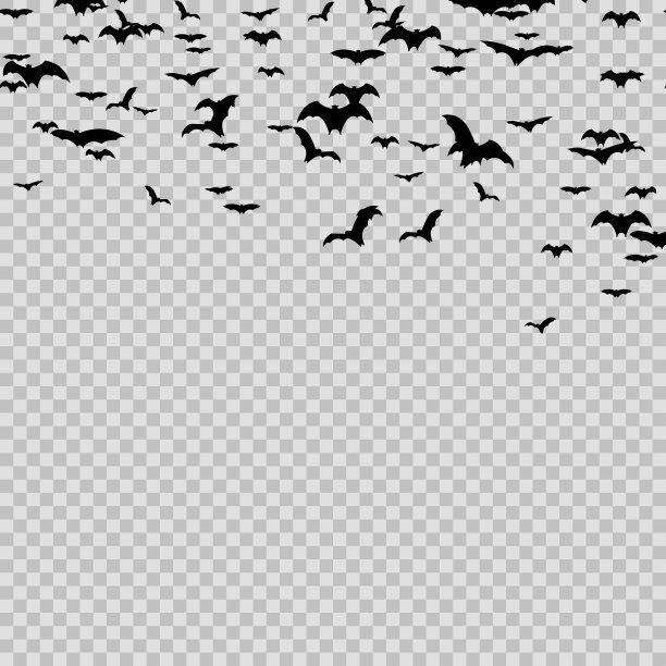 一群黑色蝙蝠万圣节在透明的背景。向量图片下载
