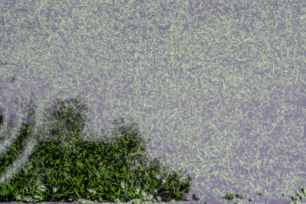 人造草地足球场泛水面上树木的倒影图片下载