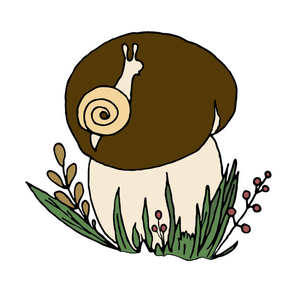 手绘蘑菇和可爱的蜗牛在它的帽子涂鸦风格图片下载