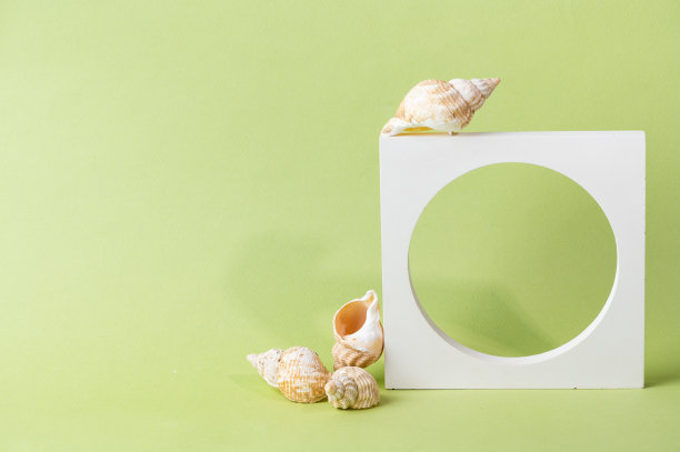 白色裙台米色背景。模板，演示产品的模型。柔和的色彩风格的组成与自然贝壳和几何形式。最小的概念。产品模型图片下载