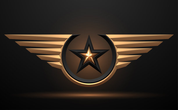 黑色和金色的星星，黑色背景上有翅膀图片下载