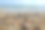 这是贝壳的特写镜头，背景是海浪图片下载