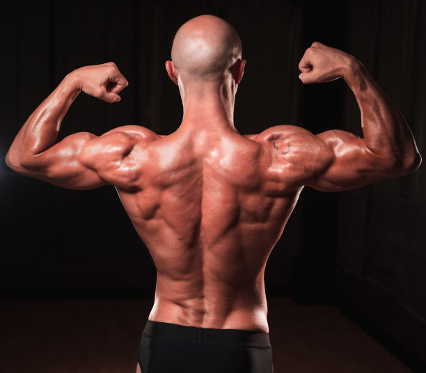 肌肉健美者伸缩背部和二头肌图片下载