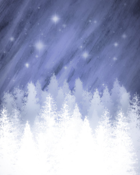 常青树与淡蓝色的天空与星星图片下载