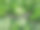 路穿过夏天的绿色森林，鸟瞰图片下载