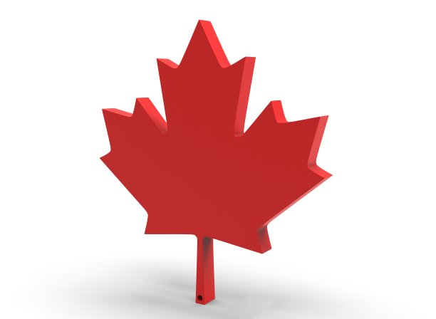 加拿大枫叶的白色背景3d渲染图片下载